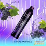 پاد یکبار مصرف انگور 4000 پاف مسک کینگ