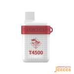 پاد یکبار مصرف ارزان توت فرنگی هندوانه 4500 پاف تاگبوت