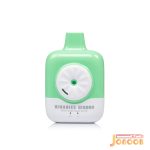 ویپ یکبار مصرف انگور سبز سیب یخ اس ای 6000 پاف بیناریس