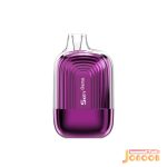 پاد یکبار مصرف توت فرنگی تمشک گیلاس 7000 پاف اسکی