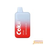 پاد یکبار مصرف هندوانه یخ 6000 پاف کوکی بار