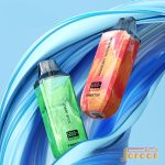 پاد یکبار مصرف تمشک آبی 5000 پاف فریتون پرو2