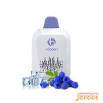 پاد یکبار مصرف تمشک آبی یخ 5000 پاف وابین فلکس ایر