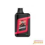 پاد یکبار مصرف دو سیب 6000 نوو اسموک